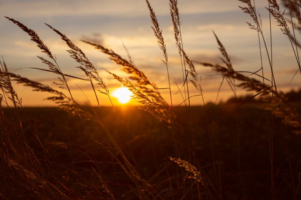 Calor intenso e tempo seco predominam em Mato Grosso do Sul nesta terça-feira (6)