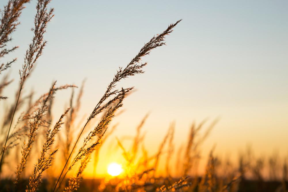 Semana começa com calor e tempo firme em Bataguassu