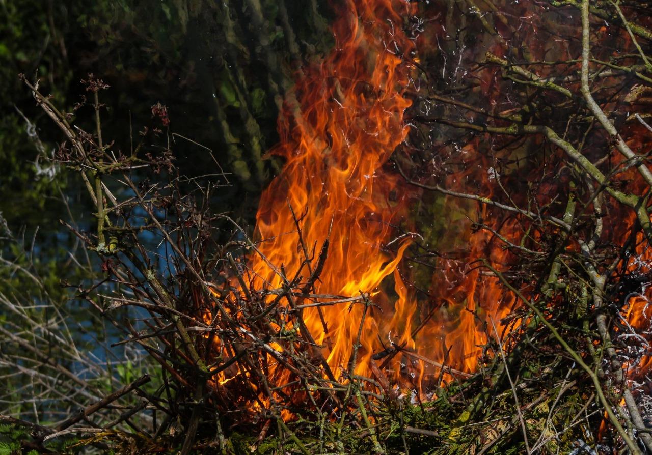 Incêndio em terreno baldio mobiliza bombeiros em Bataguassu; vídeo
