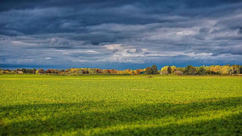 Bataguassu inicia sexta-feira com clima ameno, mas calorão é esperado no fim de semana