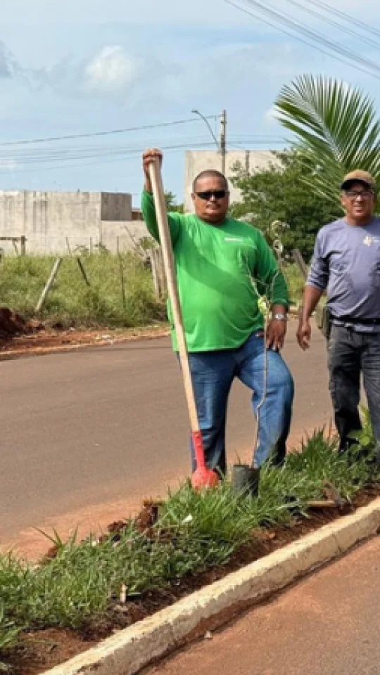 Avenida Frei Galvão recebe novas mudas e reforça arborização urbana