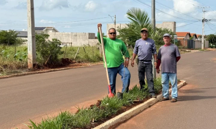 Avenida Frei Galvão recebe novas mudas e reforça arborização urbana