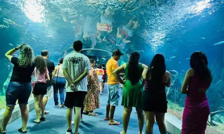 Bioparque Pantanal celebra quatro anos colocando Mato Grosso do Sul em destaque internacional