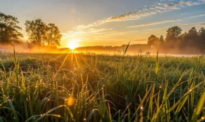 Frio intenso marca início da semana em Bataguassu e no Mato Grosso do Sul