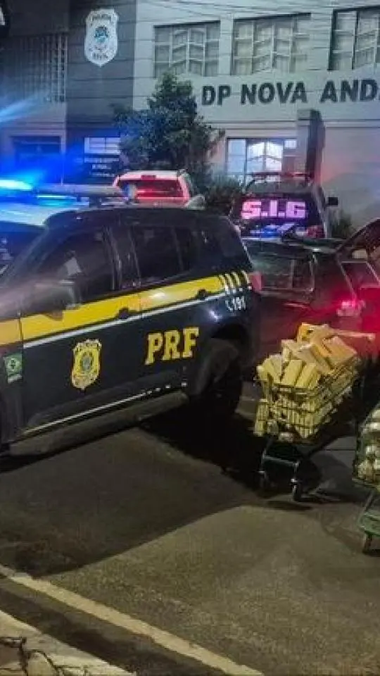 PRF e PM apreendem 513 Kg de maconha em Nova Andradina